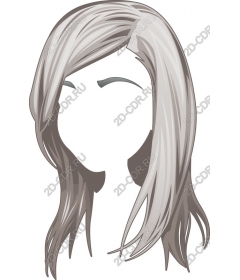  A stylish hairstyles