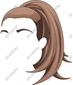  Elegant ponytail