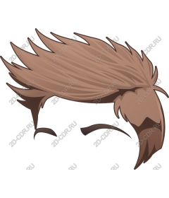  A stylish hairstyles