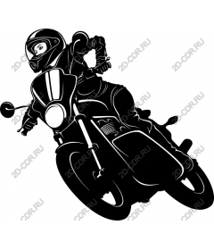 Dynamic Rider