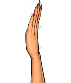  Elegant hand with red nails