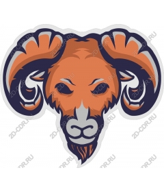  Ferocious head of a RAM