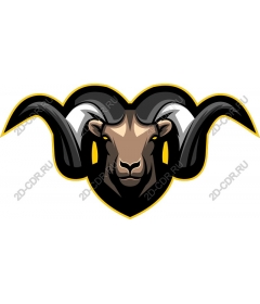 The majestic head of a RAM