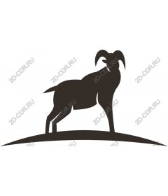 Majestic Goat