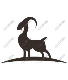  Elegant Goat