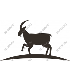  Elegant Goat