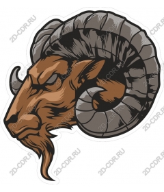  Ferocious head of a RAM