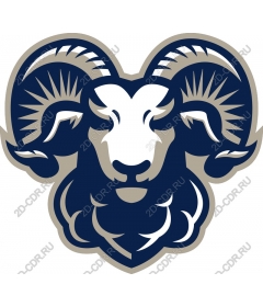 The majestic head of a RAM