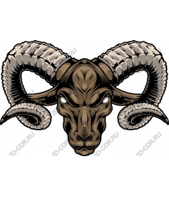  Ferocious head of a RAM