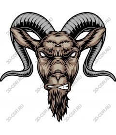  Ferocious head of a RAM