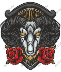  Череп барана и розы