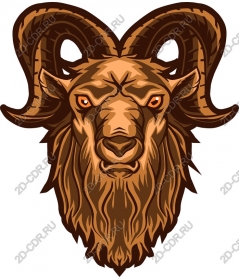  Ferocious head of a RAM