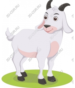  Charming Goat