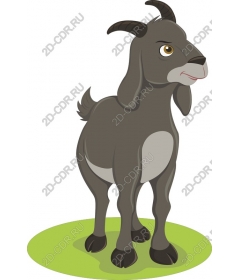  Charming Goat