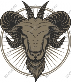 The majestic head of a RAM