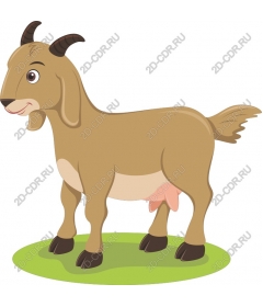  Charming Goat