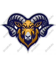  Ferocious head of a RAM