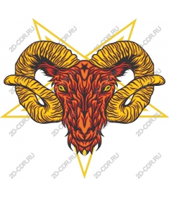  Bright sheep's head