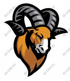  Ferocious head of a RAM
