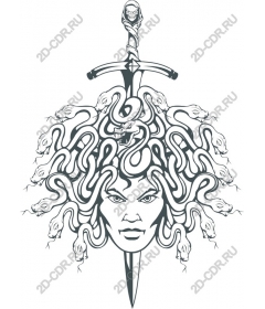 Guardian of jellyfish: the Sword and Snake