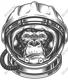 Galactic gorilla