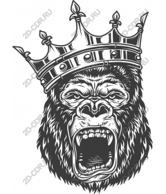 The majestic roaring gorilla