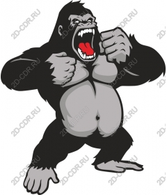  Ferocious gorilla