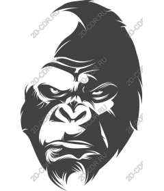 The power gorilla