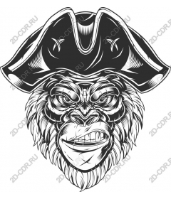 Pirate gorilla