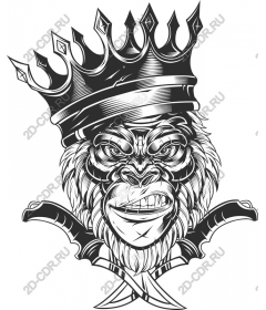  Ferocious king of the gorillas