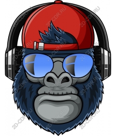  Cool head gorilla