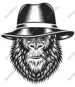 Gorilla in the Fedora
