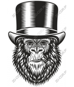  Dapper monkey