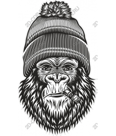  Cool gorilla with a hat