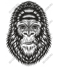 Gorilla with a cigar