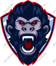 Head ferocious gorilla
