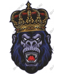 Majestic king of gorillas