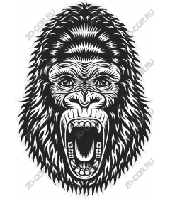  Ferocious gorilla