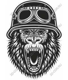  Ferocious roaring gorilla