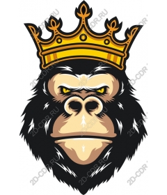 Royal gorilla