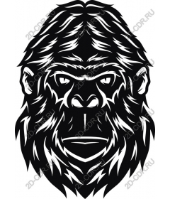 Head gorilla