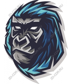 Powerful head of a gorilla
