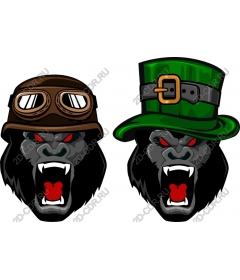 Gorilla pilot hat and the leprechaun
