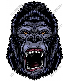 Roaring gorilla