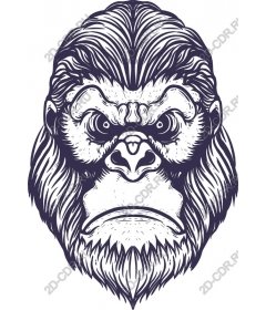  The majestic head of a gorilla