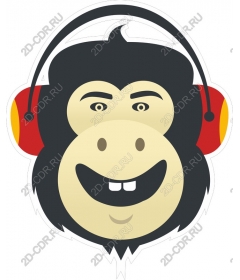  Cool monkey