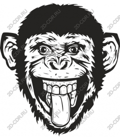  Ferocious monkey face