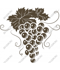  Elegant bunch of grapes