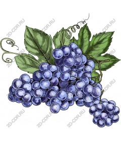 The grapes are handmade with premium