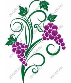  Bright grape bunch